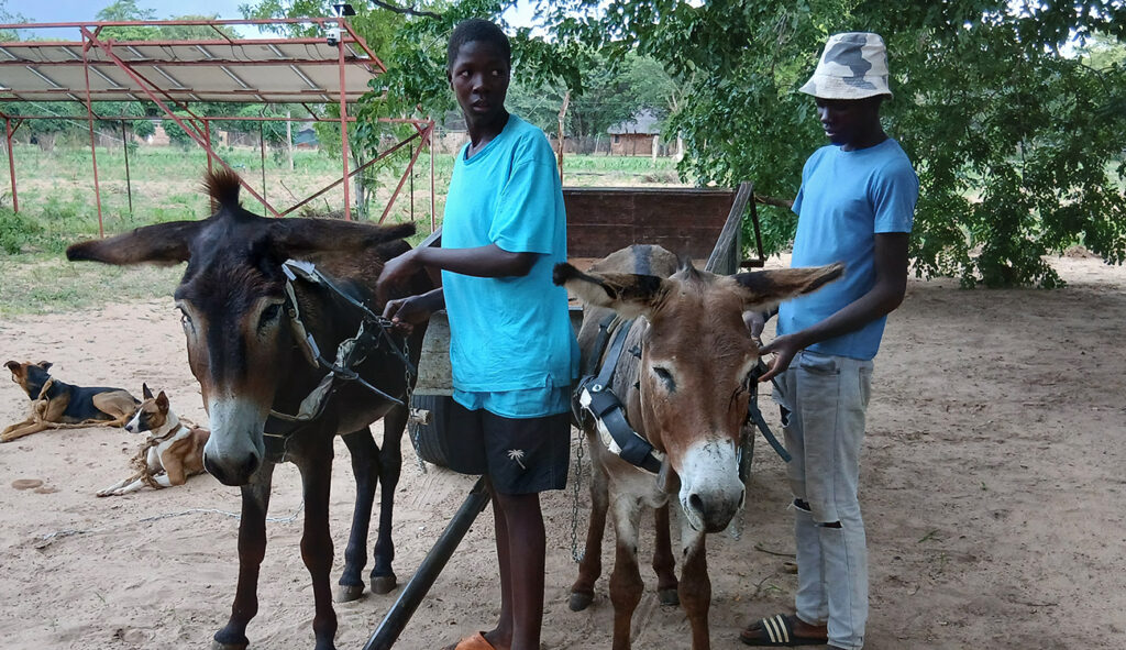 Care Stories24 1 E1773944805730 1024x591