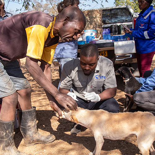 Community Animal Research and Education 500 x 5001