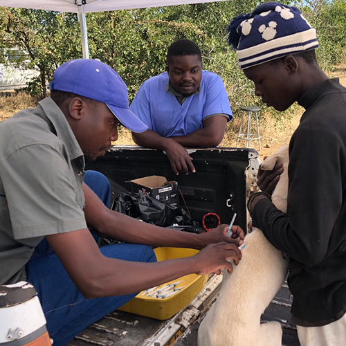 Community Animal Research and Education 500 x 50012