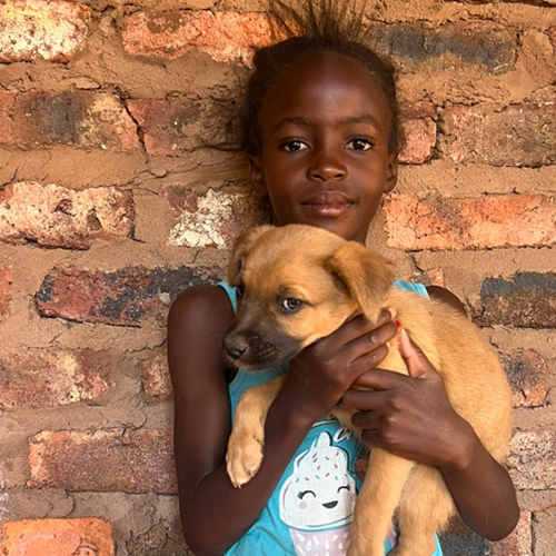 Community Animal Research and Education 500 x 50015