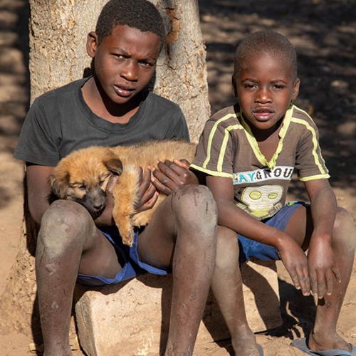 Community Animal Research and Education 500 x 50016