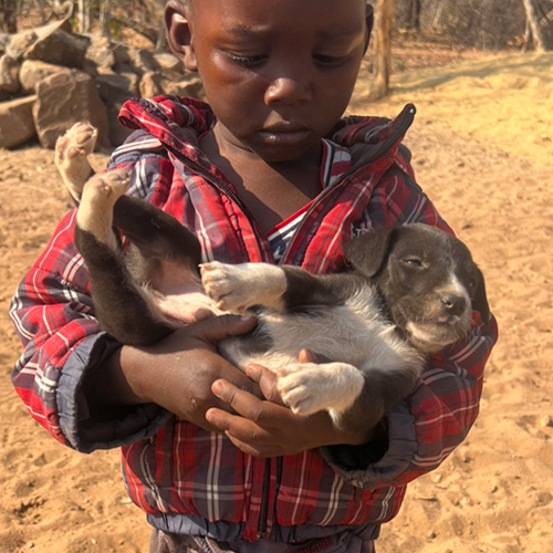 Community Animal Research and Education 500 x 50019