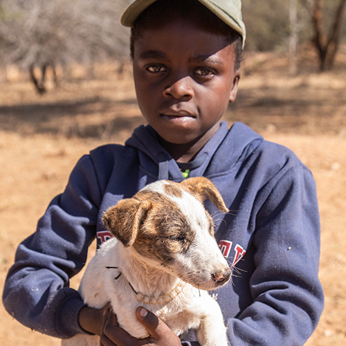 Community Animal Research and Education 500 x 5002