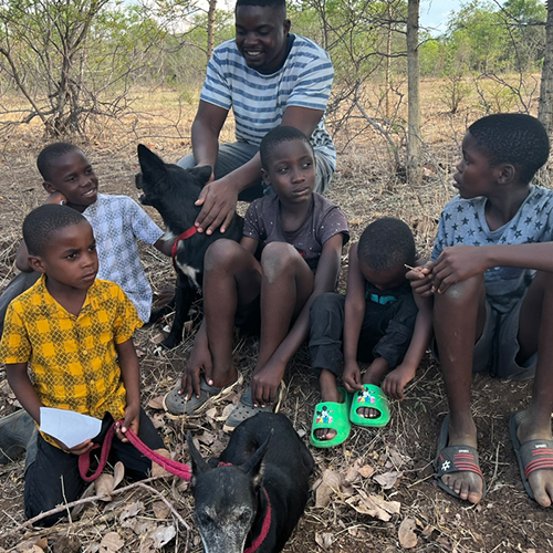 Community Animal Research and Education 500 x 50034