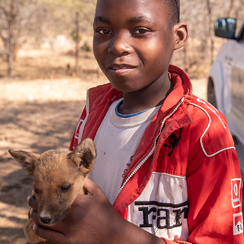 Community Animal Research and Education 500 x 5006