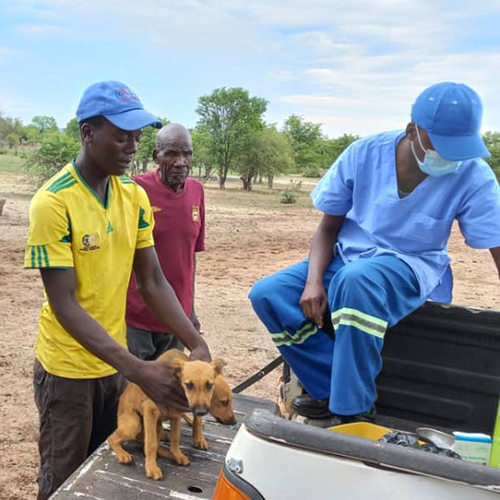 Community Animal Research and Education 500 x 5007